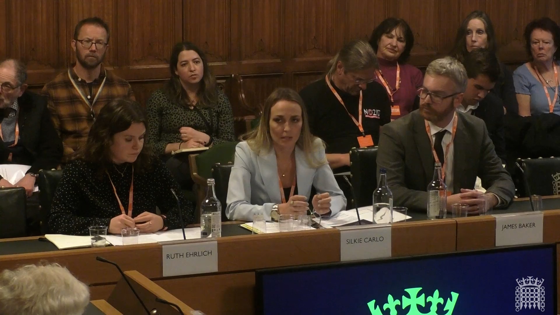 Silkie Carlo at Home Affairs Committee expert witness panel